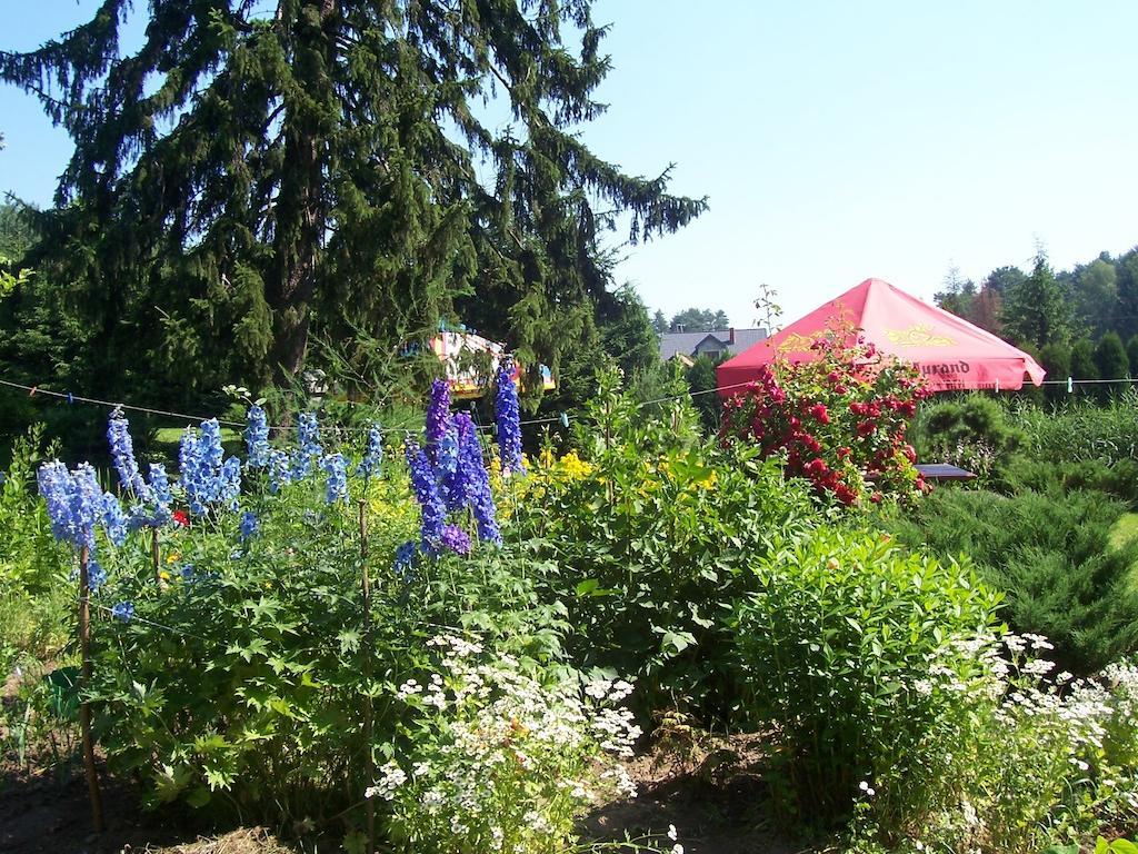 Gosciniec Nad Stawem Szczytno (Warmian-Masurian) Exterior foto